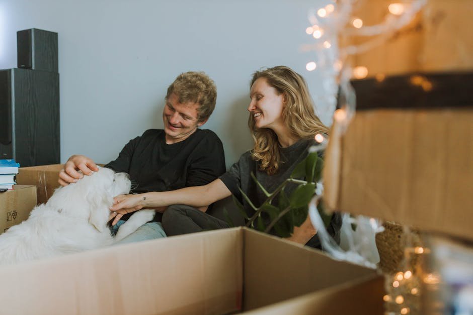 How to Move with a Dog Without Stressing Them Out (2025 Guide) - Big Bear Movers Blog