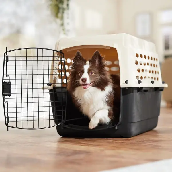 Best Travel Crates for Moving with Pets