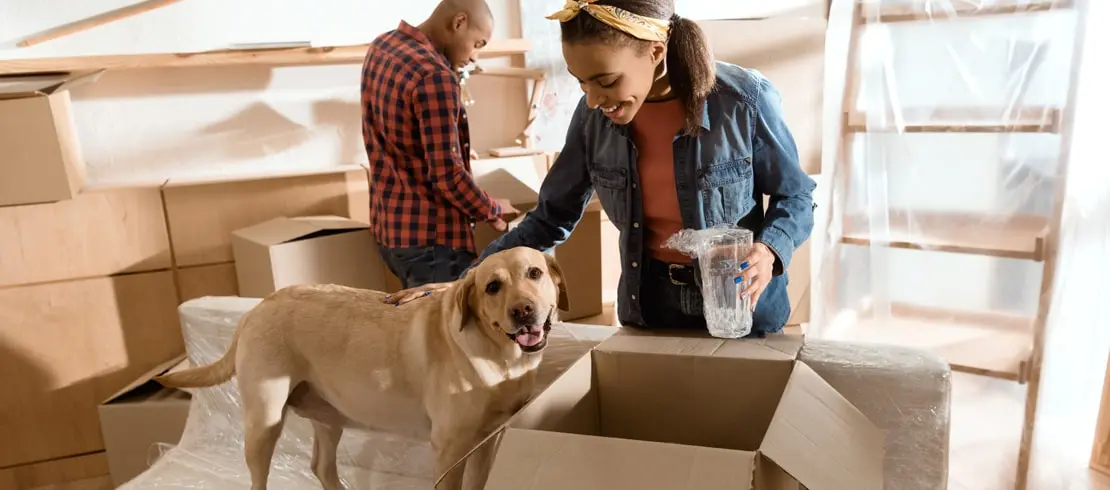 How to Move with a Dog Without Stressing Them Out
