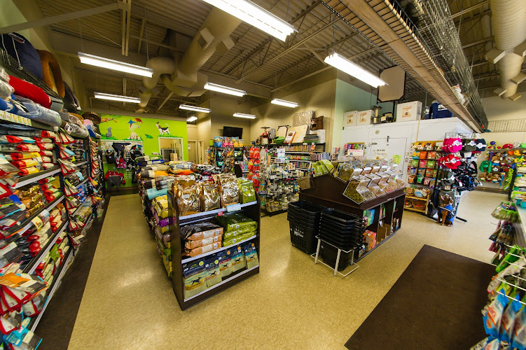 Local Vets and Pet Shops in Sudbury
