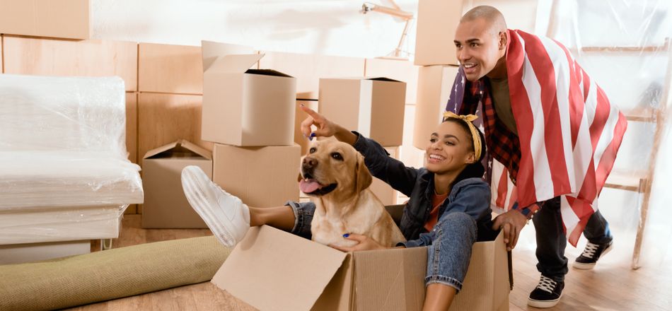 Pet Moving Checklist: Before, During & After