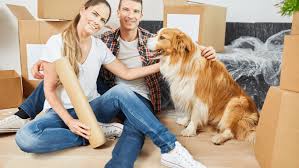 Tips for Long-Distance Moves with Pets