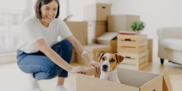 What to Pack for Your Pet on Moving Day