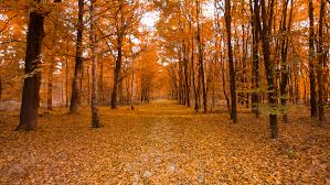 Fall a Great Time to Move