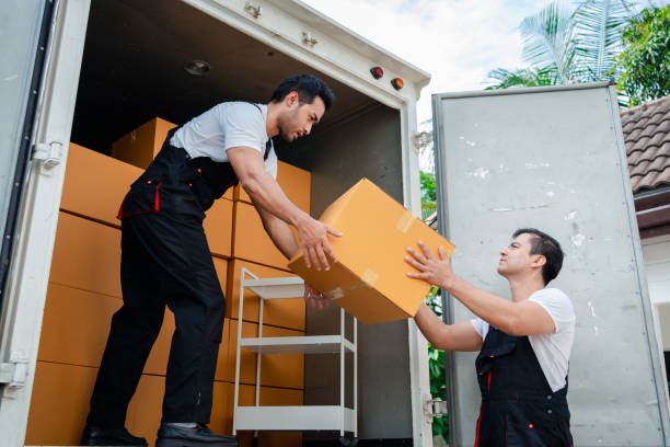 Why Big Bear Lake Movers Are the Best Choice for Relocation